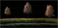 Trittico-2.jpg Trittico-2.jpg