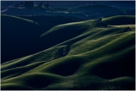Nome File=Verdi-ondulazioni-al-mattino.jpg
Dimensione File=397KB
Dimensioni=900x602
Data aggiunta=Apr 15, 2009 Verdi-ondulazioni-al-mattino.jpg