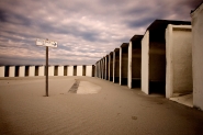 _MG_3664.jpg _MG_3664.jpg