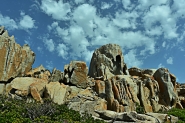 Nome File=26.jpg
Dimensione File=585KB
Dimensioni=1000x667
Data aggiunta=Giu 08, 2018 26.jpg