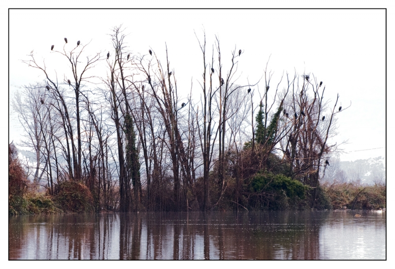Clicca per l'immagine full size