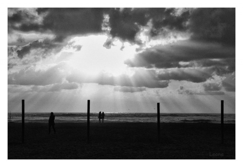 Clicca per l'immagine full size