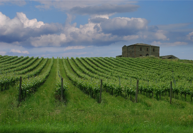 Clicca per l'immagine full size