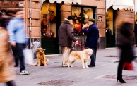 Nome File=Perché-si-agiteranno-tanto.jpg
Dimensione File=382KB
Dimensioni=1000x630
Data aggiunta=Gen 19, 2009 Perché-si-agiteranno-tanto.jpg