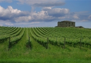 Nome File=casale-e-vigna1.jpg
Dimensione File=356KB
Dimensioni=1000x692
Data aggiunta=Mag 29, 2008 casale-e-vigna1.jpg