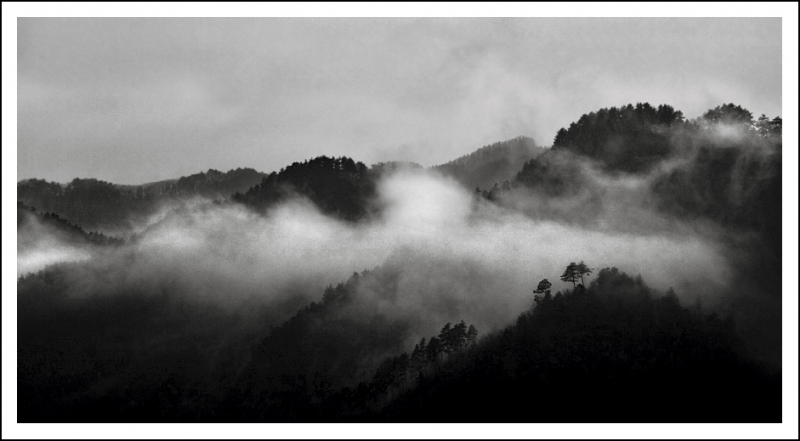 Clicca per l'immagine full size