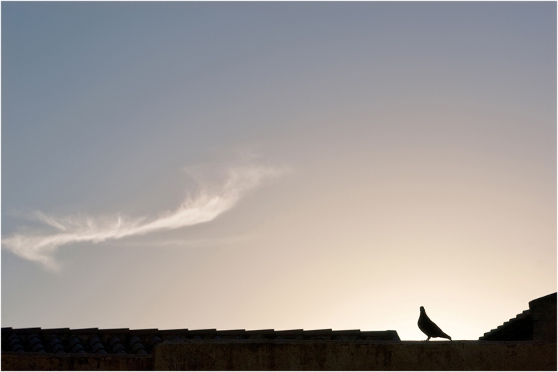 Clicca per l'immagine full size