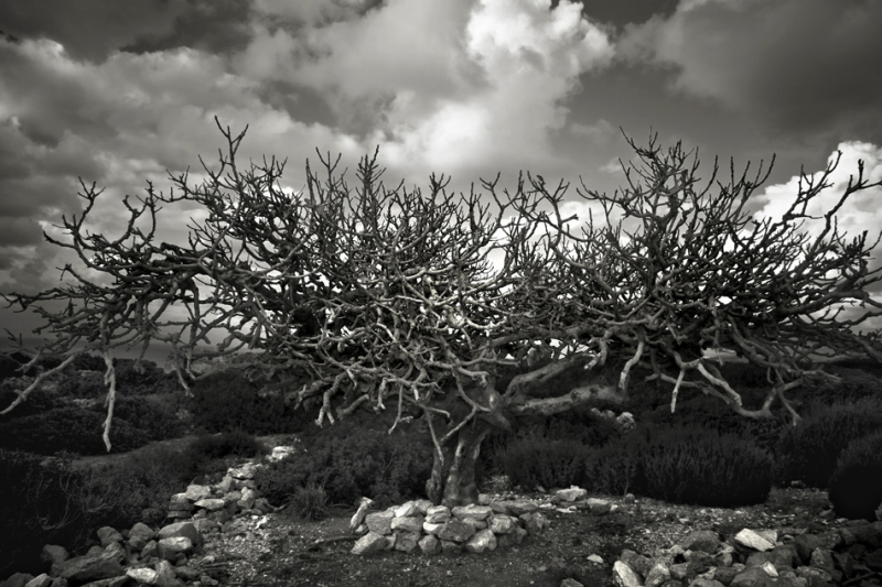 Clicca per l'immagine full size