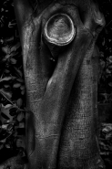 Nome File=Sculptio_naturae_MM.jpg
Dimensione File=571KB
Dimensioni=800x1200
Data aggiunta=Mag 28, 2023 Sculptio_naturae_MM.jpg