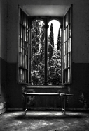 Nome File=crisalide.jpg
Dimensione File=276KB
Dimensioni=529x768
Data aggiunta=Nov 21, 2011 crisalide.jpg