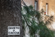 Nome File=divieto_di_caccia_web.jpg
Dimensione File=418KB
Dimensioni=1200x800
Data aggiunta=Giu 23, 2018 divieto_di_caccia_web.jpg