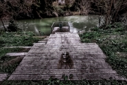 Nome File=ghost_and_ashes_MM_.jpg
Dimensione File=572KB
Dimensioni=1200x800
Data aggiunta=Mar 15, 2021 ghost_and_ashes_MM_.jpg