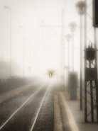 Nome File=il_fantasma_della_Roma_Pantano.jpg
Dimensione File=361KB
Dimensioni=800x1066
Data aggiunta=Giu 24, 2022 il_fantasma_della_Roma_Pantano.jpg