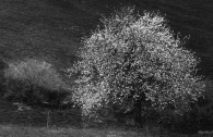 Nome File=padre_e_figlio.jpg
Dimensione File=348KB
Dimensioni=920x599
Data aggiunta=Gen 31, 2009 padre_e_figlio.jpg