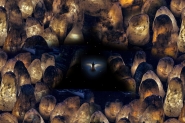 Nome File=the_saver_MM.jpg
Dimensione File=516KB
Dimensioni=1200x800
Data aggiunta=Mag 04, 2019 the_saver_MM.jpg