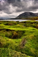 Nome File=torbiere_del_Connemara_MM.jpg
Dimensione File=583KB
Dimensioni=799x1200
Data aggiunta=Ott 07, 2015 torbiere_del_Connemara_MM.jpg