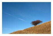 Sagomato-dal-vento.jpg