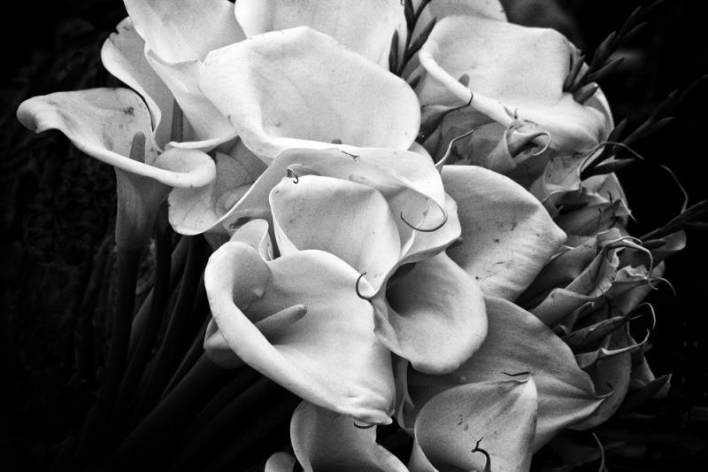 Clicca per l'immagine full size
