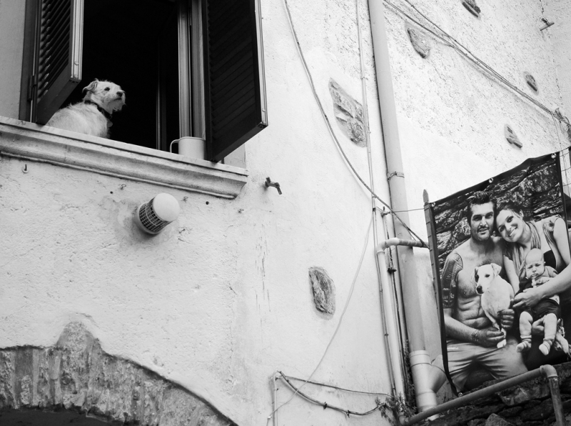 Clicca per l'immagine full size