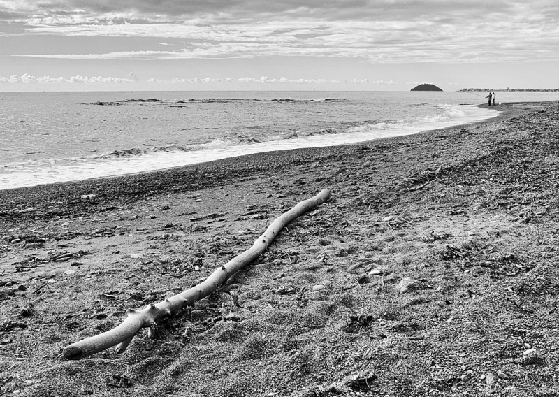 Clicca per l'immagine full size