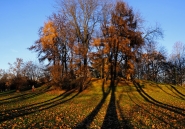 Nome File=Parco_Ruffini,_collinetta.jpg
Dimensione File=480KB
Dimensioni=1024x718
Data aggiunta=Feb 04, 2021 Parco_Ruffini,_collinetta.jpg
