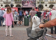 Nome File=Piazza_Vittorio,_Giro_d_Italia.jpg
Dimensione File=410KB
Dimensioni=1024x733
Data aggiunta=Mag 30, 2016 Piazza_Vittorio,_Giro_d_Italia.jpg