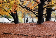 Nome File=Valentino,_viale_d_autunno_6.jpg
Dimensione File=510KB
Dimensioni=1024x694
Data aggiunta=Dic 02, 2021 Valentino,_viale_d_autunno_6.jpg