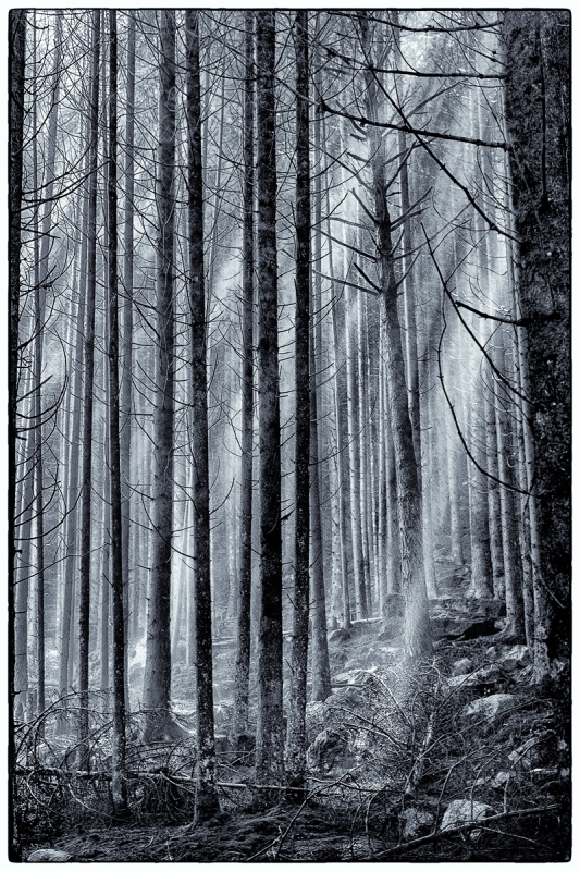 Clicca per l'immagine full size