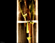 Nome File=aequilibrium_res.jpg
Dimensione File=274KB
Dimensioni=803x624
Data aggiunta=Ott 27, 2009 aequilibrium_res.jpg