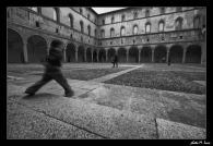 Nome File=child.jpg
Dimensione File=111KB
Dimensioni=800x552
Data aggiunta=Ott 20, 2008 child.jpg