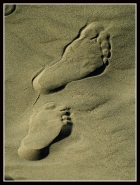 Nome File=Enigma-di-sabbia.jpg
Dimensione File=198KB
Dimensioni=609x800
Data aggiunta=Apr 18, 2008 Enigma-di-sabbia.jpg