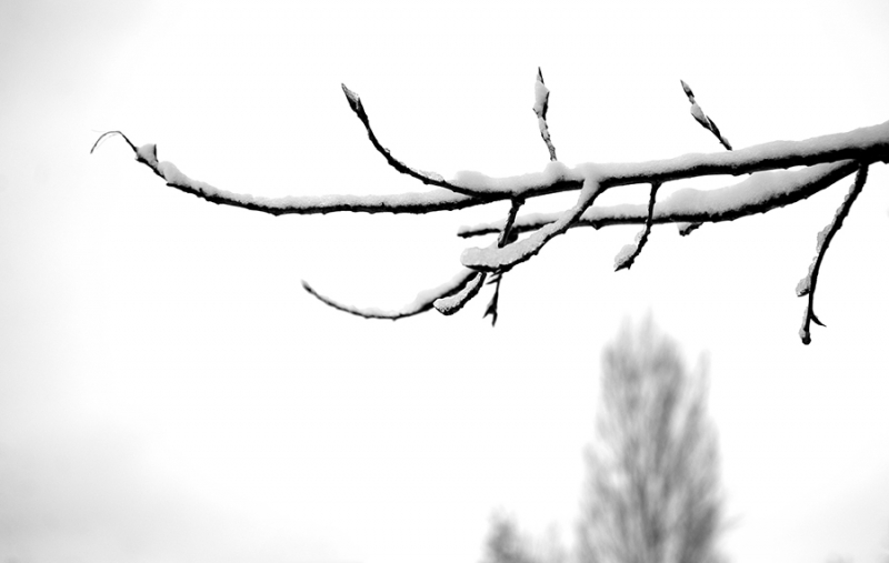 Clicca per l'immagine full size