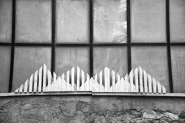 DSC_1558bn.jpg