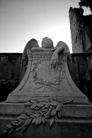 DSC_3150_1.jpg