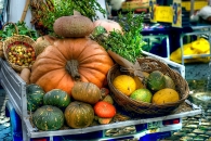 campo_de_fiori_DSC_3477tm.jpg