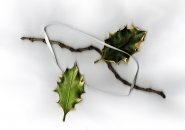 due-foglie-con-ramo-b.jpg