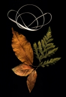 Nome File=nameless_seven.jpg
Dimensione File=190KB
Dimensioni=481x700
Data aggiunta=Gen 17, 2009 nameless_seven.jpg