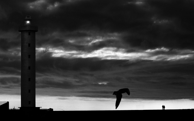 Clicca per l'immagine full size