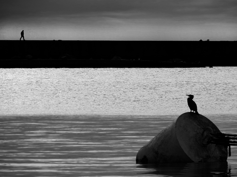 Clicca per l'immagine full size