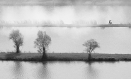 Nome File=12.jpg
Dimensione File=364KB
Dimensioni=1200x725
Data aggiunta=Feb 04, 2024 12.jpg