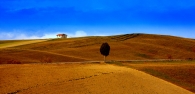 IMG_2444_CR2.jpg