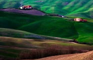 colli-rid.jpg colli-rid.jpg