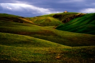 colli3-rid.jpg