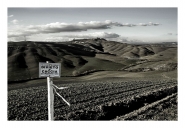 Nome File=divietook-corn--rid.jpg
Dimensione File=313KB
Dimensioni=950x659
Data aggiunta=Mag 04, 2008 divietook-corn--rid.jpg