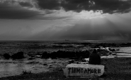 Nome File=mn--bn--rid.jpg
Dimensione File=196KB
Dimensioni=800x489
Data aggiunta=Ott 20, 2011 mn--bn--rid.jpg