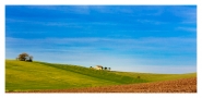 Nome File=uuy-cor-rid.jpg
Dimensione File=258KB
Dimensioni=800x391
Data aggiunta=Gen 09, 2012 uuy-cor-rid.jpg