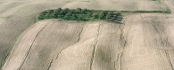Nome File=verde_rid.jpg
Dimensione File=268KB
Dimensioni=800x326
Data aggiunta=Feb 01, 2009 verde_rid.jpg