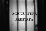 agricoltura36film6.jpg