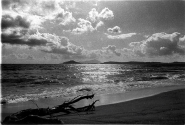 Nome File=finaleweb.jpg
Dimensione File=346KB
Dimensioni=850x577
Data aggiunta=Mag 01, 2008 finaleweb.jpg