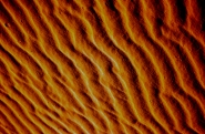 Nome File=desertorosso3.jpg
Dimensione File=258KB
Dimensioni=600x393
Data aggiunta=Apr 09, 2008 desertorosso3.jpg